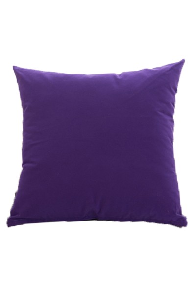 Order Pillow Flocking Plain Color Online Order Sofa Pillow Supply Office Cushion Car Pillow SKBD024 detail view-7